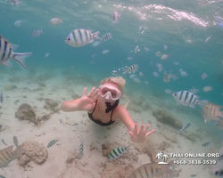 Underwater Odyssey snorkeling excursion in Pattaya Thailand photo 247