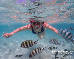 Underwater Odyssey snorkeling excursion in Pattaya Thailand photo 423