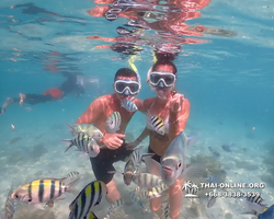 Underwater Odyssey snorkeling tour from Pattaya Thailand photo 14167