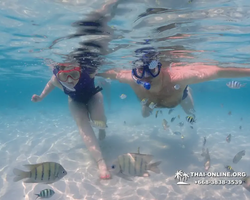 Underwater Odyssey snorkeling excursion in Pattaya Thailand photo 1015