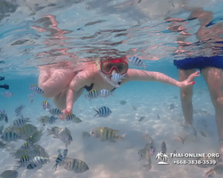 Underwater Odyssey snorkeling excursion in Pattaya Thailand photo 929