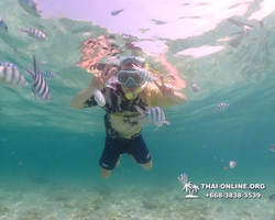 Underwater Odyssey snorkeling tour from Pattaya Thailand photo 18796