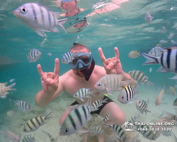 Underwater Odyssey snorkeling excursion in Pattaya Thailand photo 103