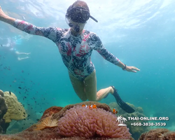 Underwater Odyssey snorkeling tour from Pattaya Thailand photo 18272