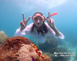 Underwater Odyssey snorkeling excursion in Pattaya Thailand photo 459