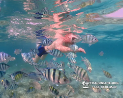 Underwater Odyssey snorkeling excursion Pattaya Thailand photo 11290