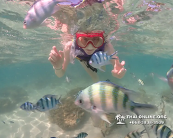 Underwater Odyssey snorkeling excursion Pattaya Thailand photo 19437