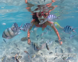 Underwater Odyssey snorkeling excursion in Pattaya Thailand photo 543