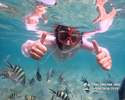 Underwater Odyssey snorkeling tour from Pattaya Thailand photo 14337