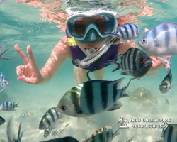 Underwater Odyssey snorkeling excursion Pattaya Thailand photo 19321