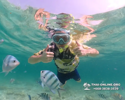 Underwater Odyssey snorkeling tour from Pattaya Thailand photo 18434