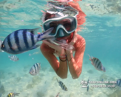 Underwater Odyssey snorkeling tour from Pattaya Thailand photo 14169