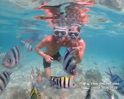Underwater Odyssey snorkeling excursion Pattaya Thailand photo 14228
