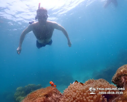 Underwater Odyssey snorkeling excursion in Pattaya Thailand photo 1039