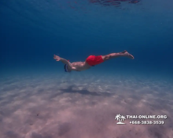 Underwater Odyssey snorkeling tour from Pattaya Thailand photo 10910