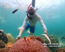 Underwater Odyssey snorkeling tour from Pattaya Thailand photo 18369