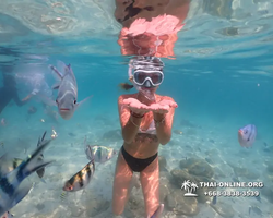 Underwater Odyssey snorkeling tour from Pattaya Thailand photo 14574