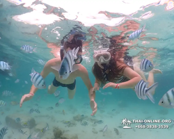 Underwater Odyssey snorkeling excursion in Pattaya Thailand photo 157