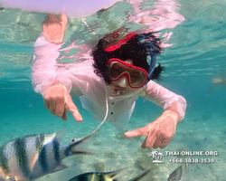 Underwater Odyssey snorkeling tour from Pattaya Thailand photo 14261