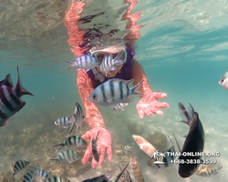 Underwater Odyssey snorkeling excursion Pattaya Thailand photo 19236