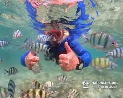 Underwater Odyssey snorkeling excursion Pattaya Thailand photo 14733