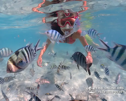 Underwater Odyssey snorkeling excursion in Pattaya Thailand photo 473