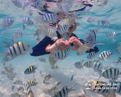 Underwater Odyssey snorkeling excursion in Pattaya Thailand photo 656