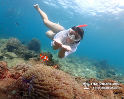 Underwater Odyssey snorkeling excursion Pattaya Thailand photo 11391
