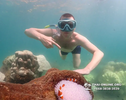 Underwater Odyssey snorkeling excursion Pattaya Thailand photo 19528