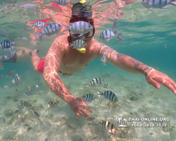 Underwater Odyssey snorkeling excursion Pattaya Thailand photo 14884