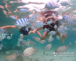 Underwater Odyssey snorkeling excursion in Pattaya Thailand photo 17