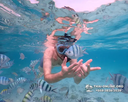 Underwater Odyssey snorkeling excursion Pattaya Thailand photo 11059