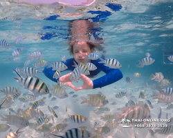 Underwater Odyssey snorkeling excursion in Pattaya Thailand photo 636