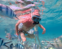 Underwater Odyssey snorkeling excursion Pattaya Thailand photo 11075