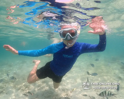 Underwater Odyssey snorkeling excursion Pattaya Thailand photo 14846