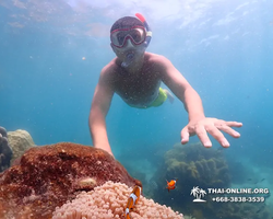 Underwater Odyssey snorkeling excursion in Pattaya Thailand photo 507