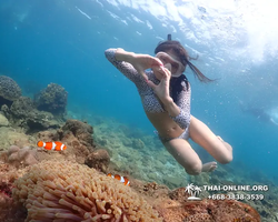Underwater Odyssey snorkeling excursion Pattaya Thailand photo 11355