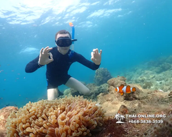 Underwater Odyssey snorkeling excursion Pattaya Thailand photo 11386