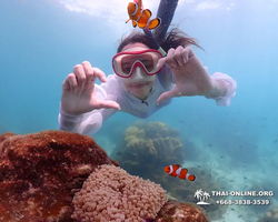 Underwater Odyssey snorkeling excursion in Pattaya Thailand photo 511