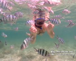 Underwater Odyssey snorkeling tour from Pattaya Thailand photo 18422