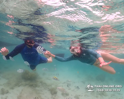 Underwater Odyssey snorkeling excursion in Pattaya Thailand photo 23