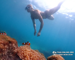 Underwater Odyssey snorkeling excursion in Pattaya Thailand photo 1035