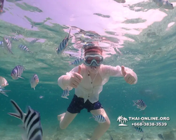 Underwater Odyssey snorkeling tour from Pattaya Thailand photo 18469