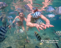 Underwater Odyssey snorkeling excursion Pattaya Thailand photo 11570