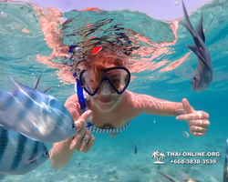 Underwater Odyssey snorkeling excursion Pattaya Thailand photo 11017