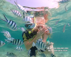 Underwater Odyssey snorkeling tour from Pattaya Thailand photo 18274