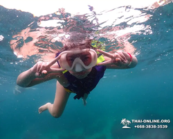 Underwater Odyssey snorkeling excursion in Pattaya Thailand photo 32