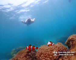 Underwater Odyssey snorkeling excursion in Pattaya Thailand photo 1031