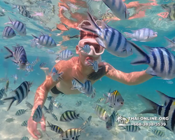 Underwater Odyssey snorkeling excursion Pattaya Thailand photo 11268