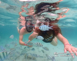 Underwater Odyssey snorkeling excursion in Pattaya Thailand photo 55